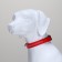 Collar with backlight size m, Osh 40-48 x 2.5 cm, 3 glow modes red