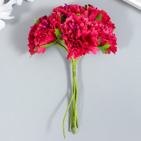 Flowers for decorating "Astra Raspberry" 1 bouquet = 6 colors 10 cm