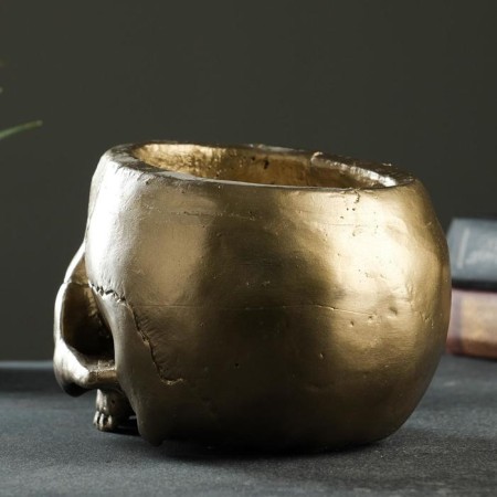 Kashpo - Organizer "Skull" Bronze, 0.2 l/19x14x12cm-1