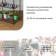 Rabbage for seedlings, 3 shelves, 110 × 65 × 40 cm, metal frame d = 16 mm, without a case