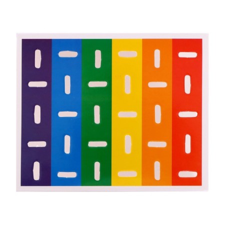 Developing sorter "Color sticks" according to the Montessori methodology-5