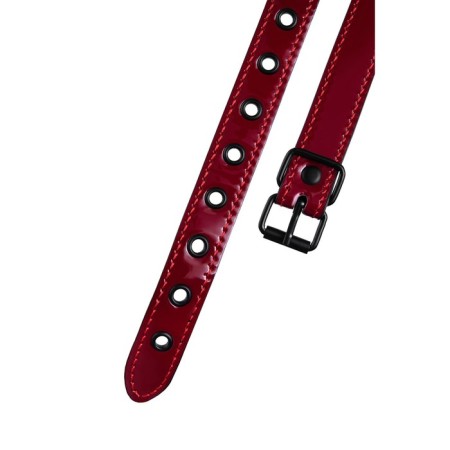 Toyfa Theater gag, PU Skin, 65 cm, red color-5