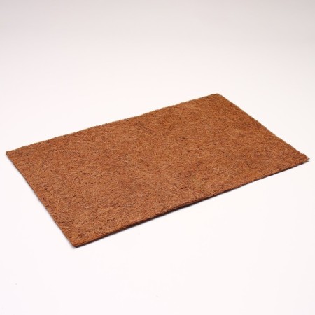 Coconut fiber rug, 50 x 30 cm-2