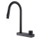 ABBER WASSER KREIS AF8114B kitchen mixer, sliding watering can, brass, black