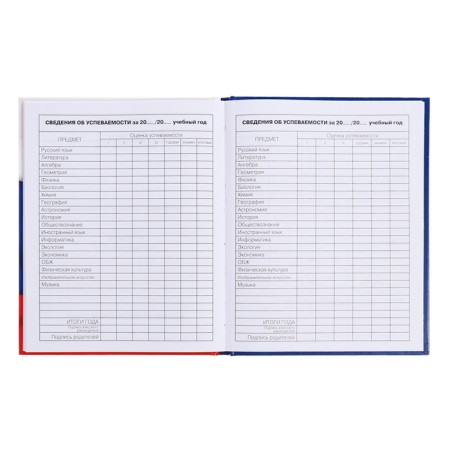 Diary for grades 5-11, 48 sheets of "Russian schoolchild No. 4", hard cover, glossy lamination, block 60 g/m2-10