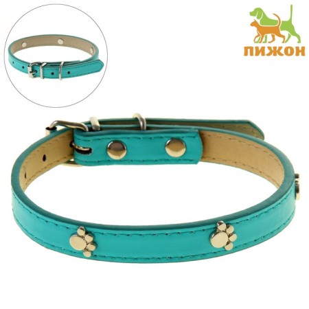 Neon collar with paws, 40 x 1.5 cm, blue