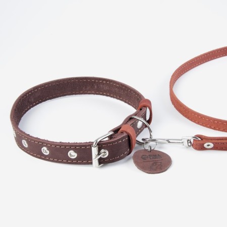 Set: collar (36-56x2.5 cm) and leash (130x1.5 cm), brown and cognac-5