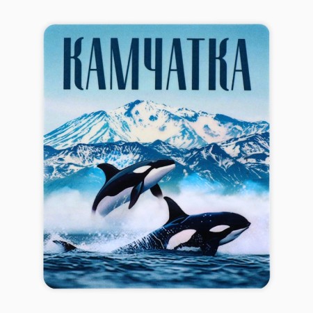 Vinet Vinyl "Kamchatka" 6 x 7 cm-2