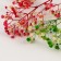 Set of dried flowers "gypsophiles"