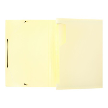 Folder Carder Calligrata watercolor 13 department. A4 plastic 0.7mm vanilla, black resident-3