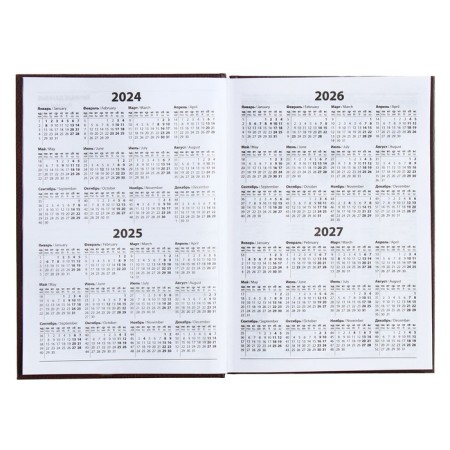 The diary half -dantered for 4 years A5, 192 leaf "Leather", solid cover, silk, brown-3