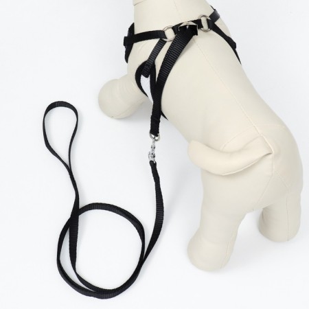 A set with a soft harness and a bantik "sea", size S, leash 120 x 1.5 cm, fire 23-42 cm 968377-2