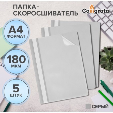 A set of folders-checkers 5pcs. Calligrata, A4, 180MKM, with a gray transparent top