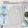 A set of folders-checkers 5pcs. Calligrata, A4, 180MKM, with a gray transparent top