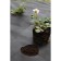 Mulching material, with perforation, 10 × 0.8 m, density 60 g/m², with UV stabilizer, black