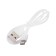 Luazon LBR-01 Bleader, Portable, 24 W, 380 ml, USB, purple