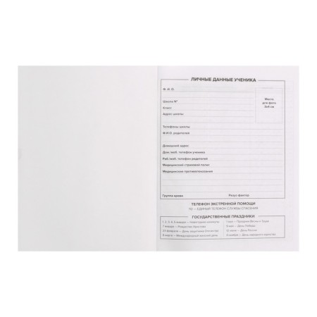 School diary in a solid cover for grades 5-11 "Green sneakers", printing on holographic lamination, glossy lamination, block 65 g/m², 48 sheets-3