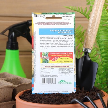 Seeds Cucumber Ant F1 10 pcs-1