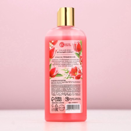 Shower gel Pure happiness “shining brighter”, 250 ml, aroma berry sorbet-4