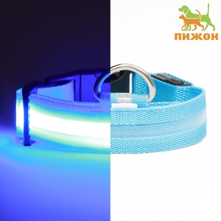 Collar with backlight size L, Osh 45-52 x 2.5 cm 3 glow glow mode