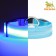 Collar with backlight size L, Osh 45-52 x 2.5 cm 3 glow glow mode