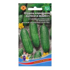 Seeds of the cucumber 