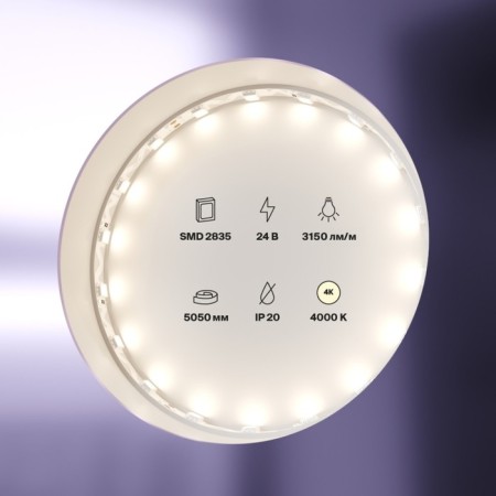 Maytoni LED tape, 24V, IP20, 5050, 12W/m, 4000k, 5 m, monochrome glow-3