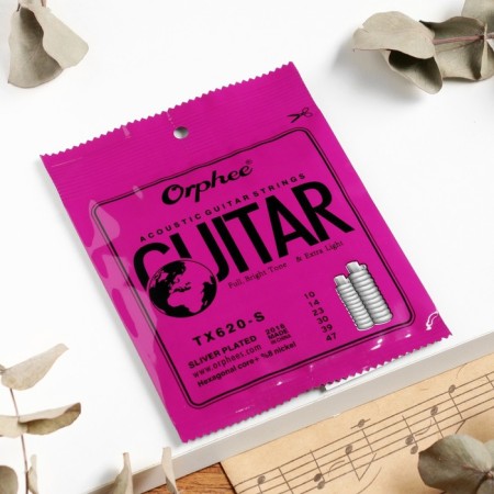 Strings for the acoustic guitar Orphee TX620S, 010-047