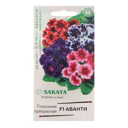 Seeds of indoor flowers gloxinia Avanti "mixture", F1, 4 pcs.