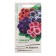 Seeds of indoor flowers gloxinia Avanti "mixture", F1, 4 pcs.