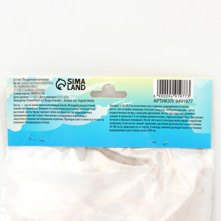 Khosta "Carol", rr I, size ml, 1 pc, spring 2024-2