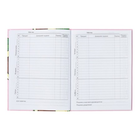 Universal diary for grades 1-11, avocato, solid cover 7BC, glossy lamination, 40 sheets-6