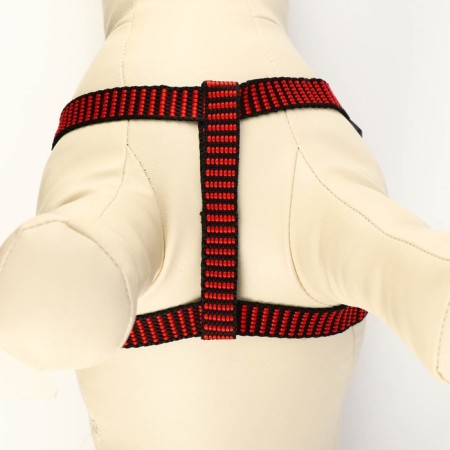 Acunition set of embossed, leash 120 x 1.5 cm, OG 36-49 cm, red-black-4