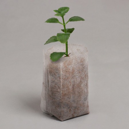Пакет для рассады, 8 × 11 см, спанбонд плотностью 40 г/м², Greengo-1