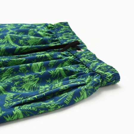 Bathing men's shorts, green color, size 54-1