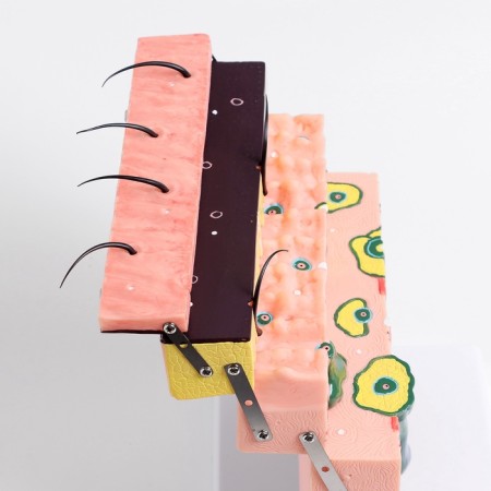Matcage "Skin in the section" 21*4*20cm-5