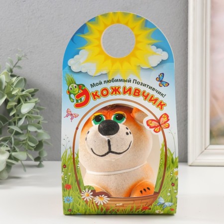Growing gift Eco -Levik "King Leo" mix-4