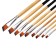 A set of brushes nylon, 9 pieces, flat, beveled, with long handles