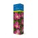Wrinkler rose (Northern Garden series) "Rubra" 1 pc, tube, spring 2025