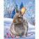 New Year's picture on numbers on canvas with the subframe "New Year! Rabbit in the snow ", 40 × 50 cm