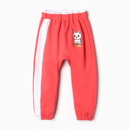 Kit for girls (sweatshirt, trousers), raspberry color, height 92 cm-2
