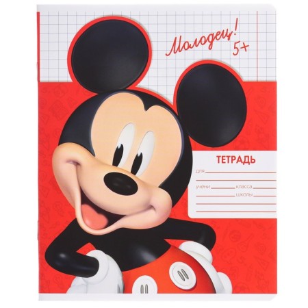 Notebook in a cage 12 sheets, 5 types of mix, cover coated paper, Mickey Mouse-6