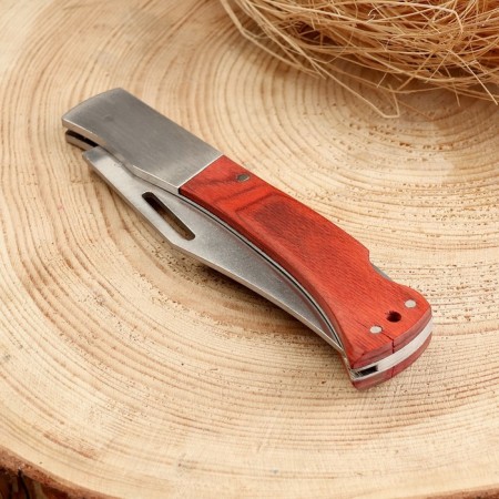 Folding Knock "Armagedon" 24.7cm, blade 107mm/1mm, handle of wood-2