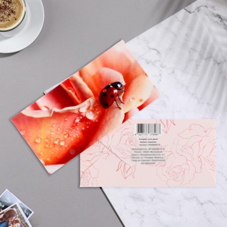 The envelope for the money "God's ladybug" 17x8.5 cm-1