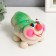 Growing gift Eco -Zenitika "Caterpillar 2" MIX Gift packaging