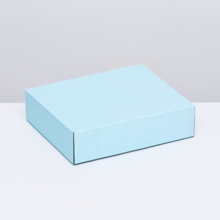 Box the team, cover is, blue, 18 x 15 x 5 cm-1