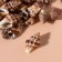 Natural decorative shells "Zebra" set 100 grams