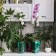 Pot for orchids, 2 l, 12.5 × 19.5 cm, plastic, transparent-turquoise