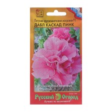 Flowers of Petunia 