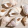 Set of shells Horse Conch, 100 g